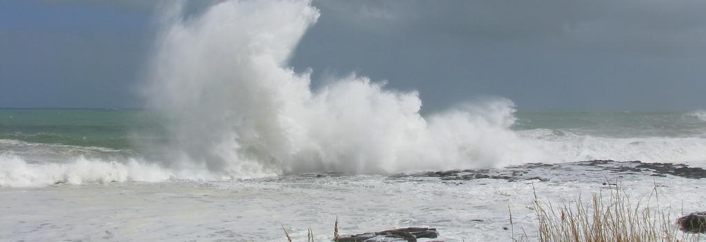 Discover wild beaches