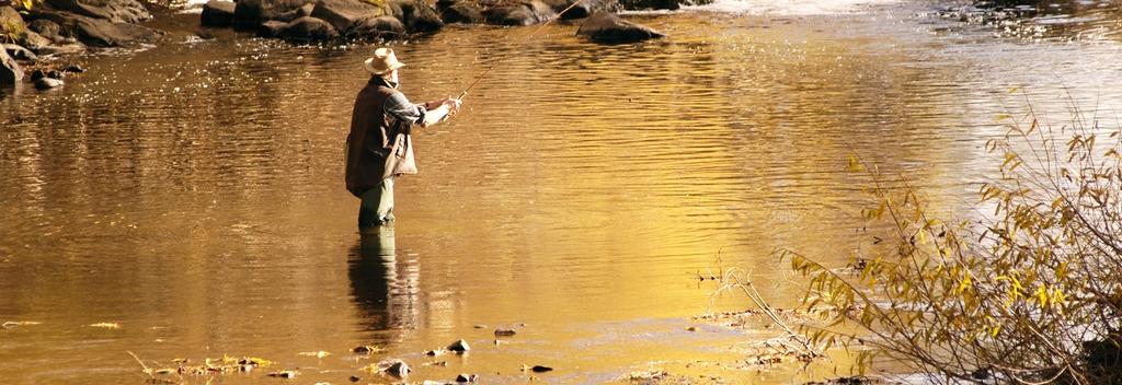 Trout Fishing, Mataura