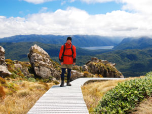 步道因其越过峡湾地区（Fiordland）的壮丽景色而闻名。