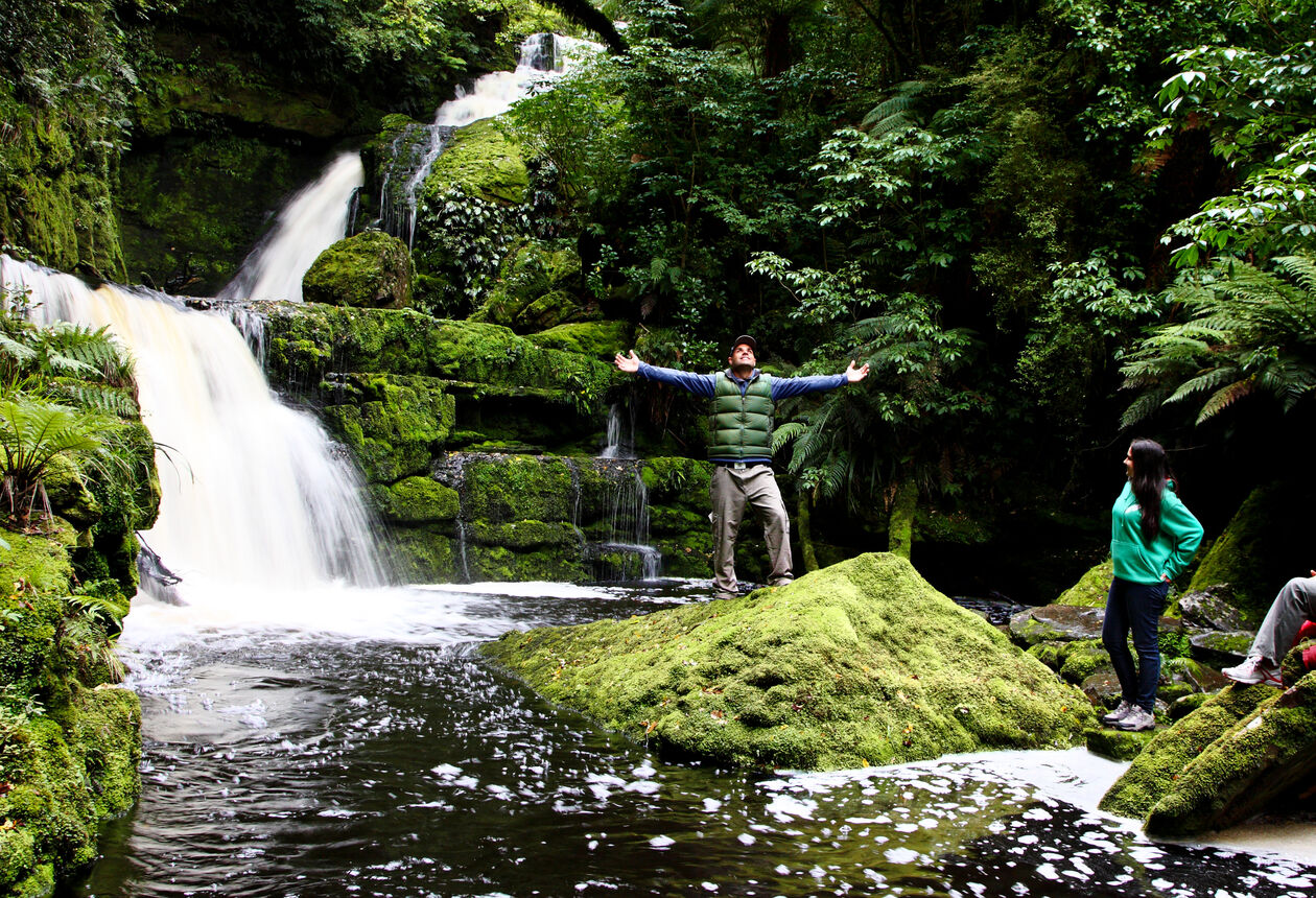 新西兰南岛的热门旅游体验