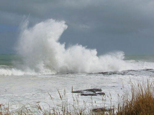 Discover wild beaches