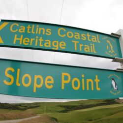 南島の南端に近いカトリンズは手付かずの自然にあふれています。