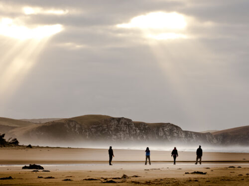 カトリンズ・コーストには滝や渓谷、海洋哺乳類、海鳥、岩がちな海岸線と入り江、静かな河口など自然の見どころが満載です。