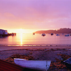 Enjoy a simpler, slower kind of life while you visit Oban on Stewart Island.