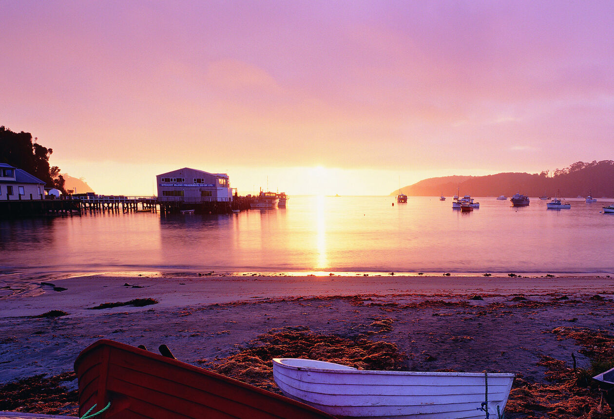 Unspoilt diverse beauty surrounded by crystal clear water makes Stewart Island a nature lover’s paradise and the best place in New Zealand to spot a Brown
