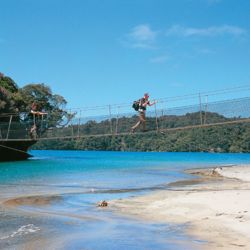 拉奇欧步道（Rakiura Track）沿着开阔的海岸前行，接着伸向森林覆盖的高山，穿越植被葱茏的海岸线。