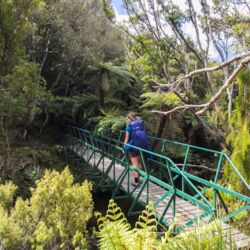 Rakiura Track