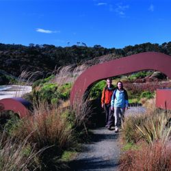 Rakiura Track, Stewart Island