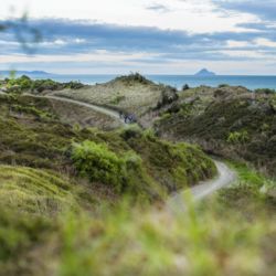 特徴の異なる3つのトレイルを走れば、イースト・ケープの大自然も、爽やかな潮風も満喫できます。