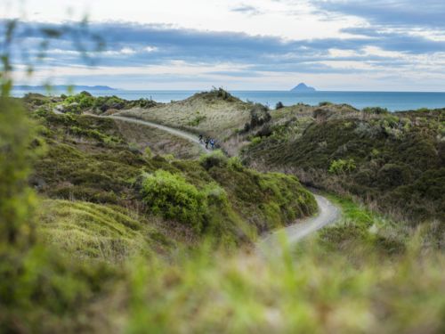 特徴の異なる3つのトレイルを走れば、イースト・ケープの大自然も、爽やかな潮風も満喫できます。