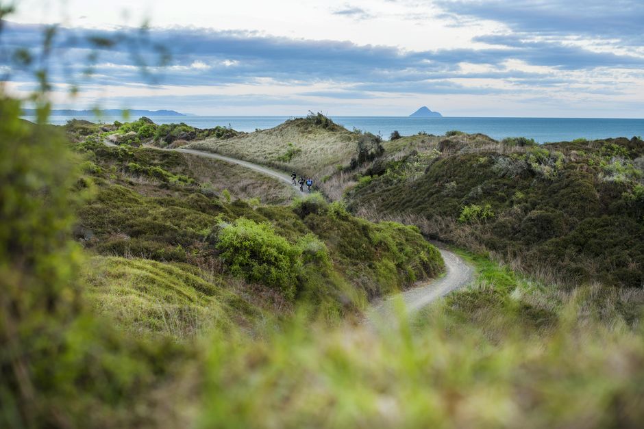 Experience three contrasting journeys. Explore East Cape wilderness, take in the fresh ocean air.