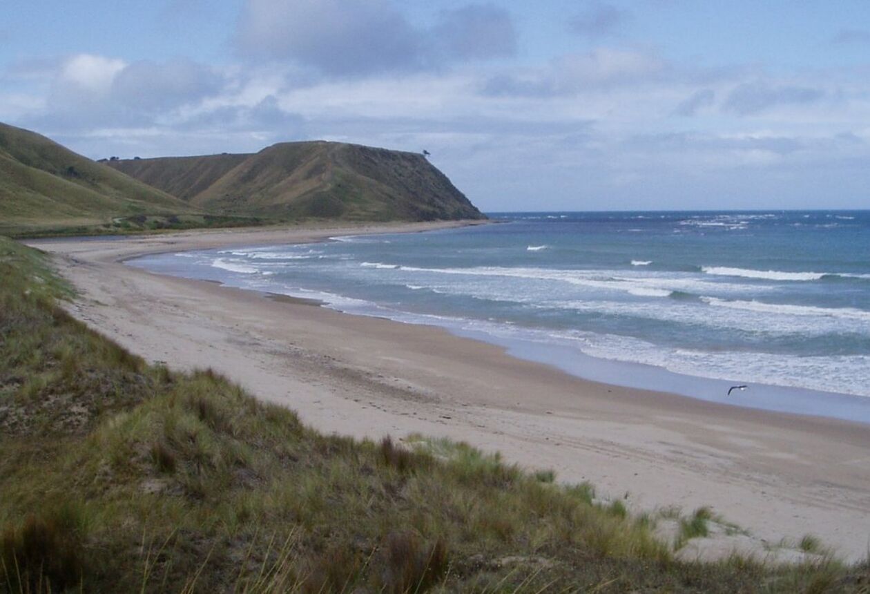Te Tapuwae o Rongokako Marine Reserve offers a rare opportunity to see Aotearoa New Zealand’s incredible marine life.