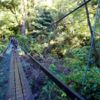 Lake Waikaremoana Track