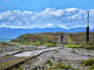 Dunes Trail Opotiki