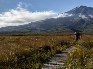Wandern auf dem Holzsteg über die Awakawakawa-Sumpflandschaft, die Teil der Pouakai Crossing-Tageswanderung ist.