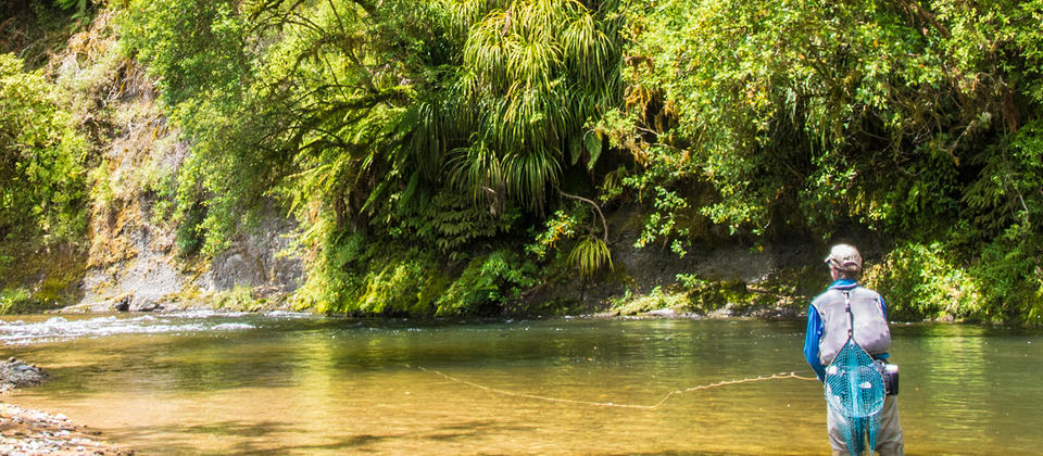 Awakino River in Taranaki is a favourite with locals. Enjoy mind-clearing tranquility.
