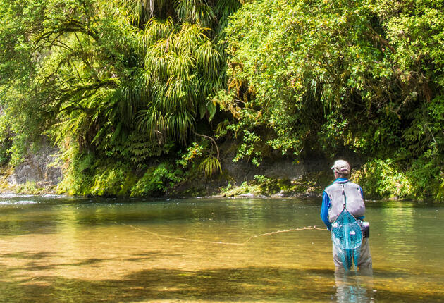 The North Island is home to famous fly fishing destinations, Lake Taupo and Tongariro River. There are many opportunities to catch rainbow trout.
