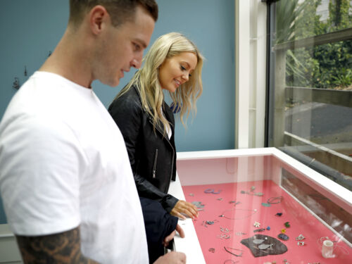 Jewel and the Jeweller