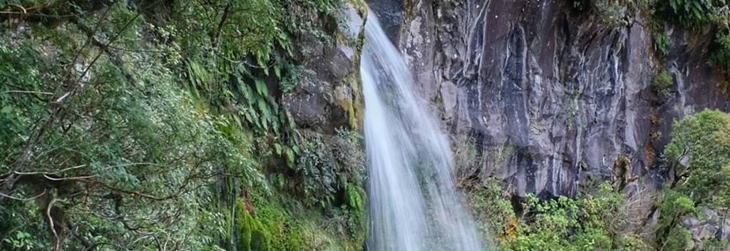 Dawson Falls, also known as Te Rere o Noke, is an 18 metre waterfall, the most popular one at Mt Egmont National Park due to an easy accessibility.