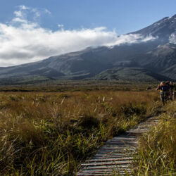 ポウアカイ・クロッシングの一部、アワカワカワ湿原を渡る木道
