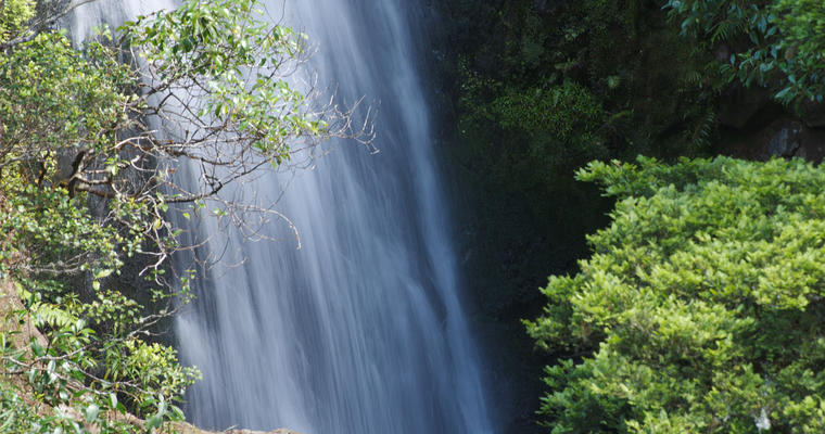 Tomá el sendero Waterfall Track para tener una hermosa vista de las cataratas Wentworth.