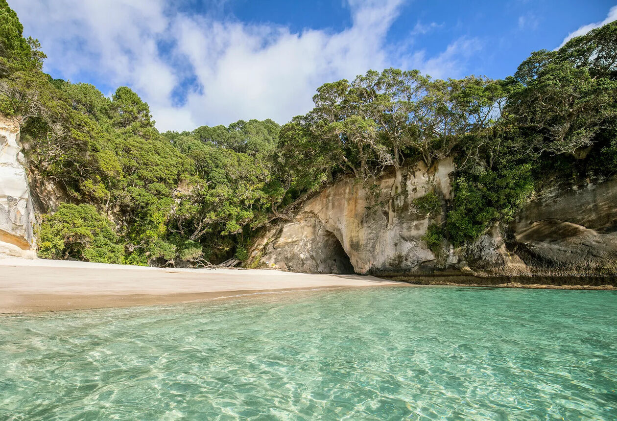 The Cathedral Cove Track is a coastal walk through native bush, leading to one of the Coromandel’s most iconic sights – a natural rock archway carved by the sea. 