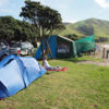 Port Jackson campsite