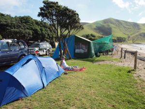 Port Jackson campsite