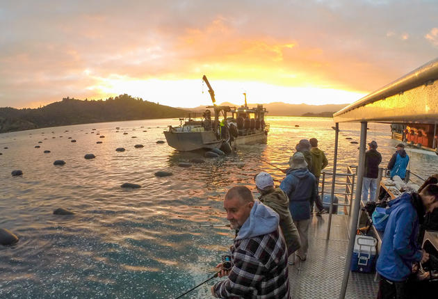 With around 400 kilometres of coastline and 100 offshore islands, The Coromandel is one of New Zealand's favourite fishing playgrounds.
