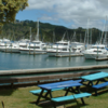 Whitianga is a small coastal town known for boating and fishing
