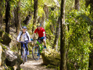 Lush green forest riding is one of the highlights of the Hauraki Rail Trail Cycle Trail.