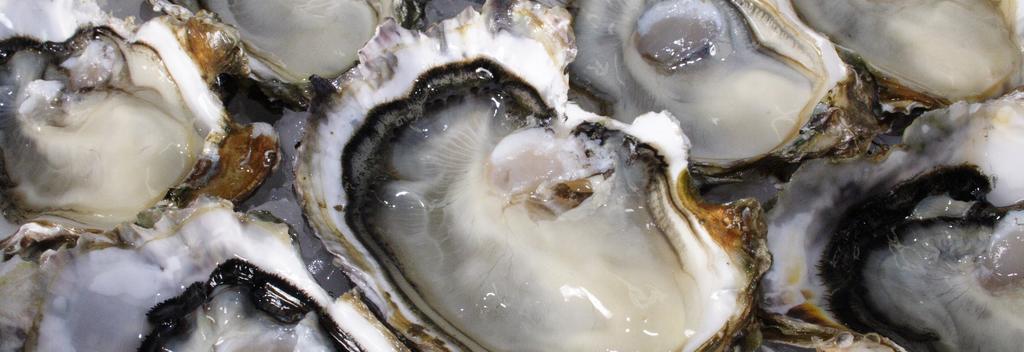 Don't miss trying oysters - a local delicacy