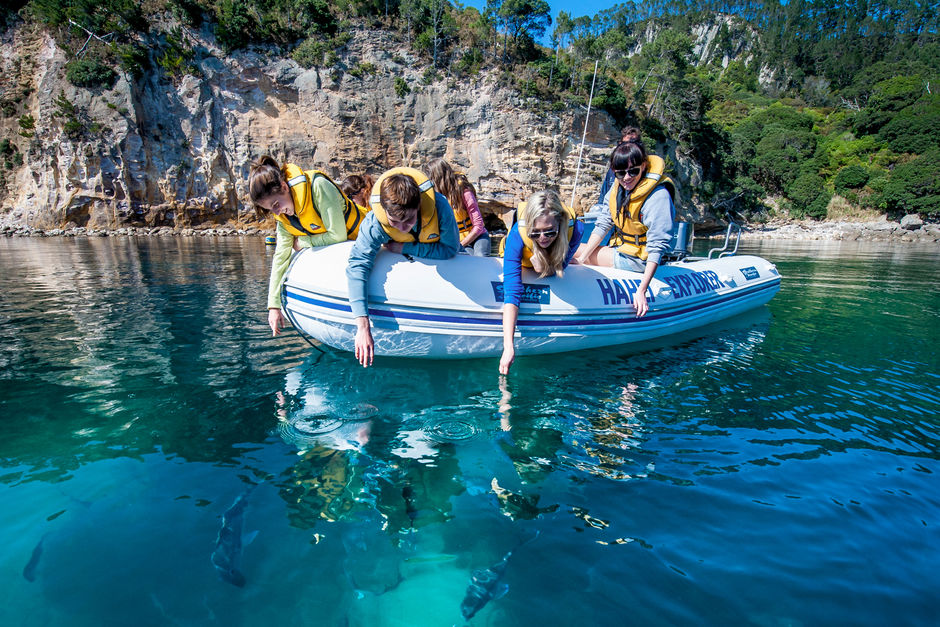 The underwater life in this marine reserve has flourished to provide exceptional natural encounters.