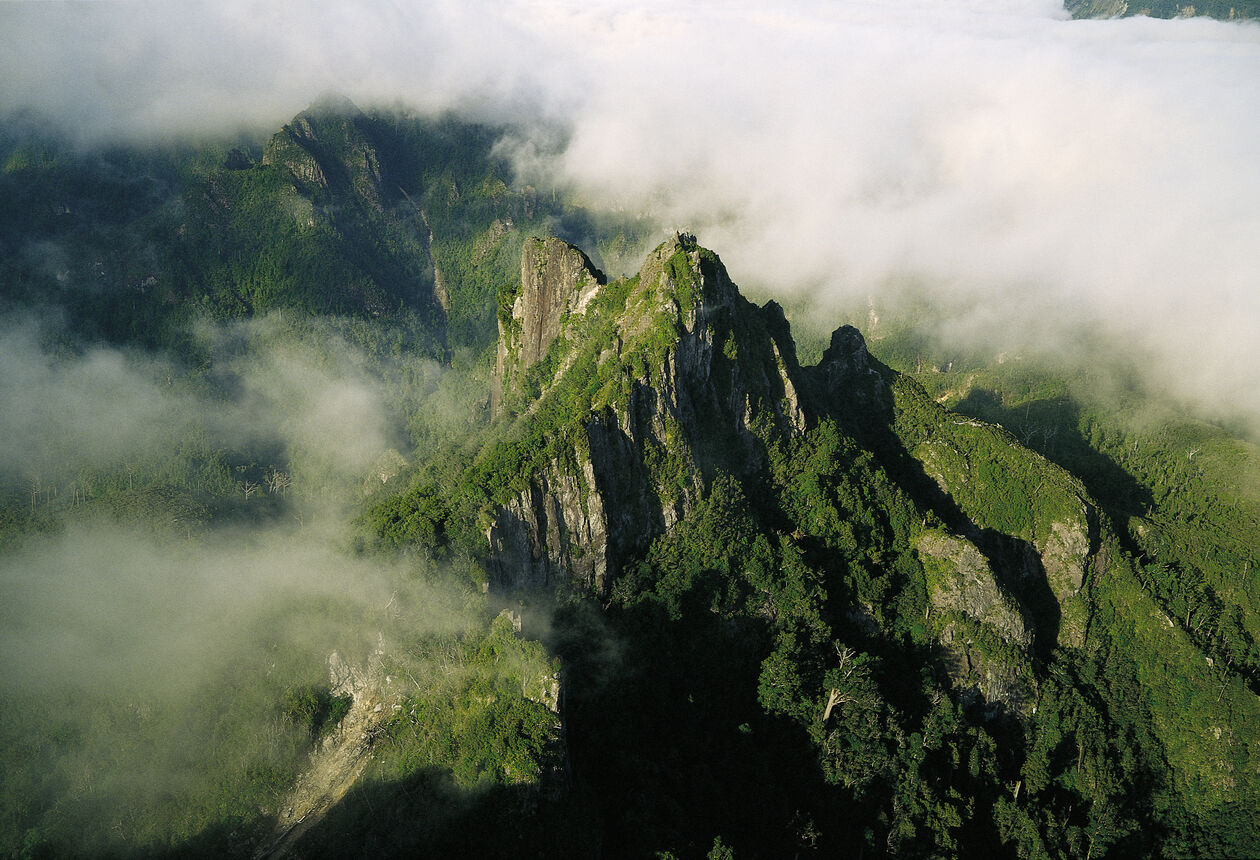 The Pinnacles Track climbs through ruggedly beautiful mountain ranges in The Coromandel. It's one of New Zealand's most popular overnight walks.
