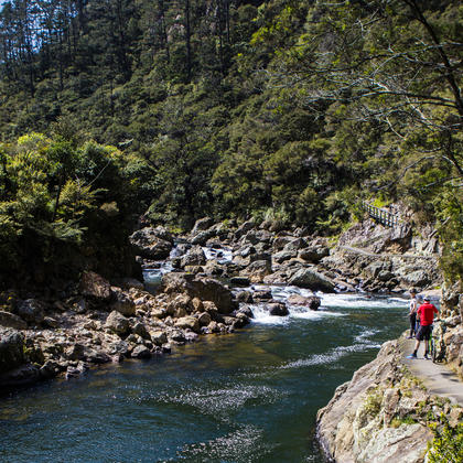 Featuring stunning scenery and a rich mining history, the Karangahake Gorge leg of Hauraki Rail Trail is certainly impressive.