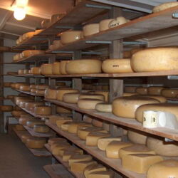 Specialising in delicious organic cheeses, the Cheese Barn is the perfect place to stock up for a picnic lunch.