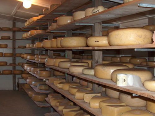 Specialising in delicious organic cheeses, the Cheese Barn is the perfect place to stock up for a picnic lunch.