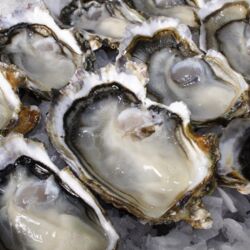 Don&#039;t miss trying oysters - a local delicacy