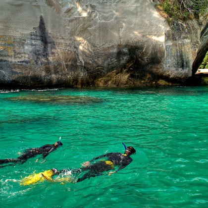 Snorkelling in The Coromandel
