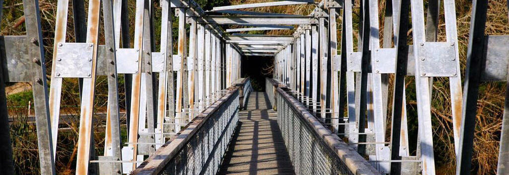 Hauraki Rail Trail Bridge