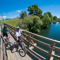 Hauraki Rail Trail -
