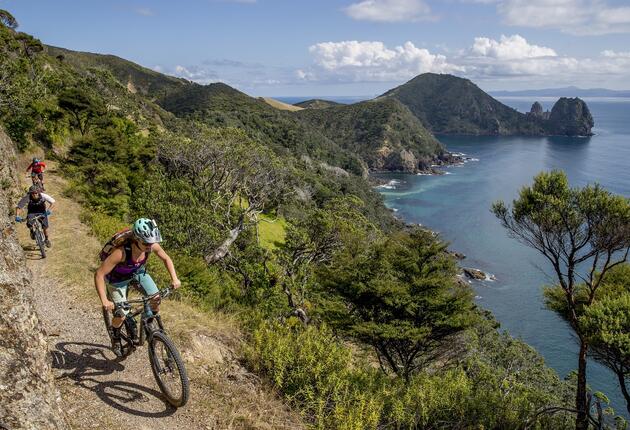 One of the best coastal walks in New Zealand. Discover beautiful beaches, quiet nature and twinkling bays.