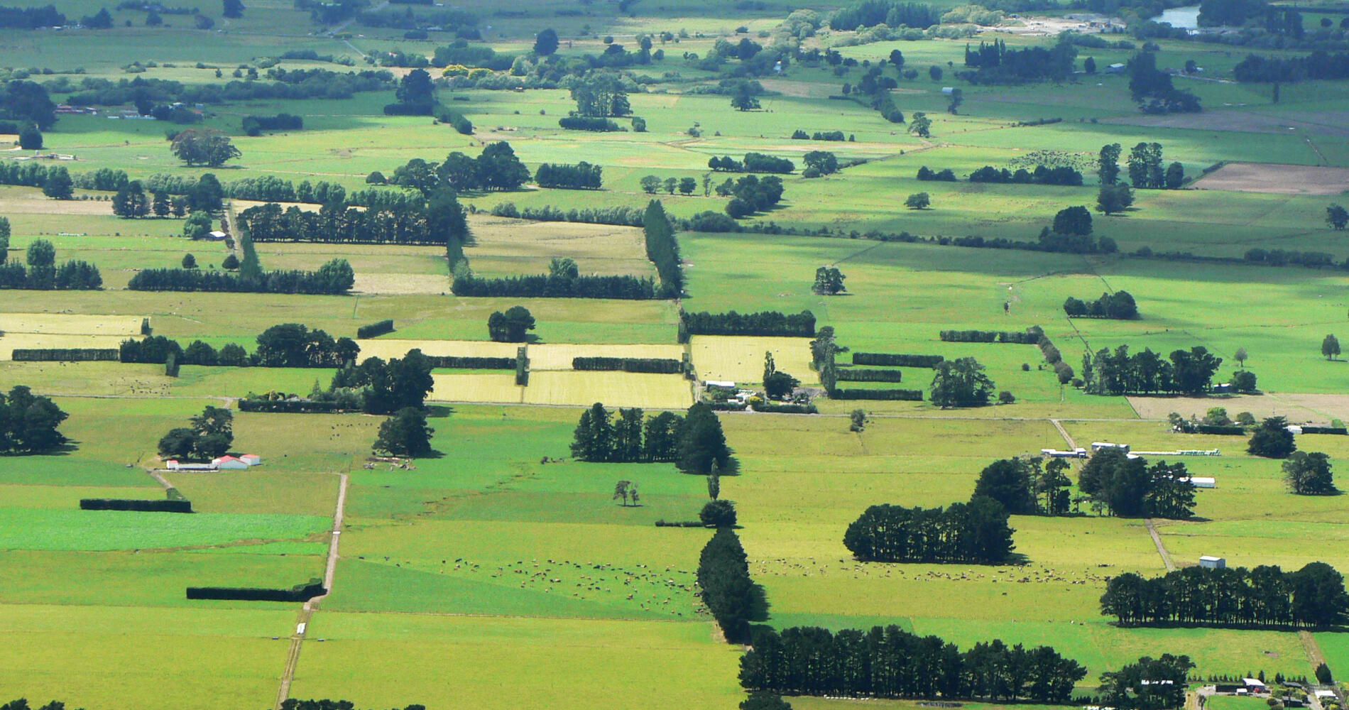 Things to see and do in Carterton, New Zealand