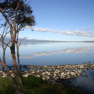 Western shore of Lake Wairarapa