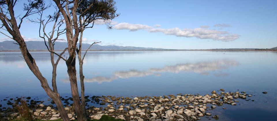 Costa oeste do Lake Wairarapa
