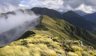 Holdsworth, a section of the Tararua Forest Park. Go hiking & enjoy epic views