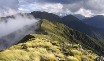 Holdsworth, a section of the Tararua Forest Park. Go hiking & enjoy epic views