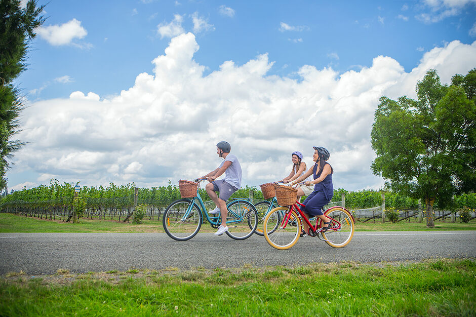Cycling among the vines, Martinborough