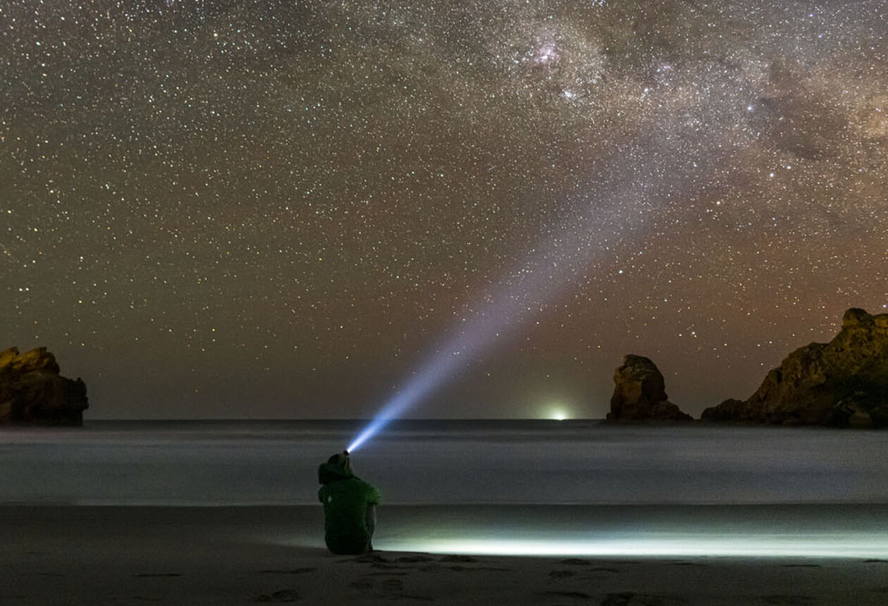 Famous for their stunning coastlines, spectacular landscapes, and Award-winning Wine check out some of Wairarapa's must-do experiences. 