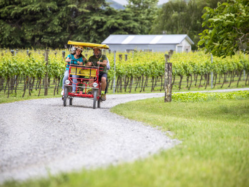 骑自行车参观马丁堡地区的各大酒庄